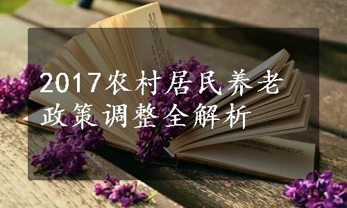 农村政策解读，2017年最新政策概览