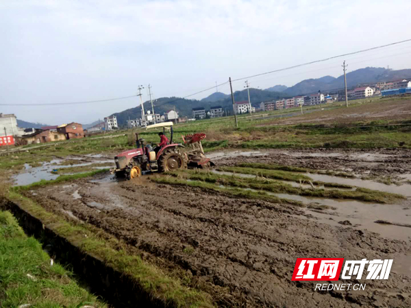 新邵坪上镇最新规划公布,新邵坪上镇的新篇章，规划揭晓的温馨故事