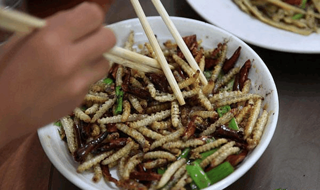 竹虫价格,竹虫价格，一只虫子如何引领你走向自信与成就之路