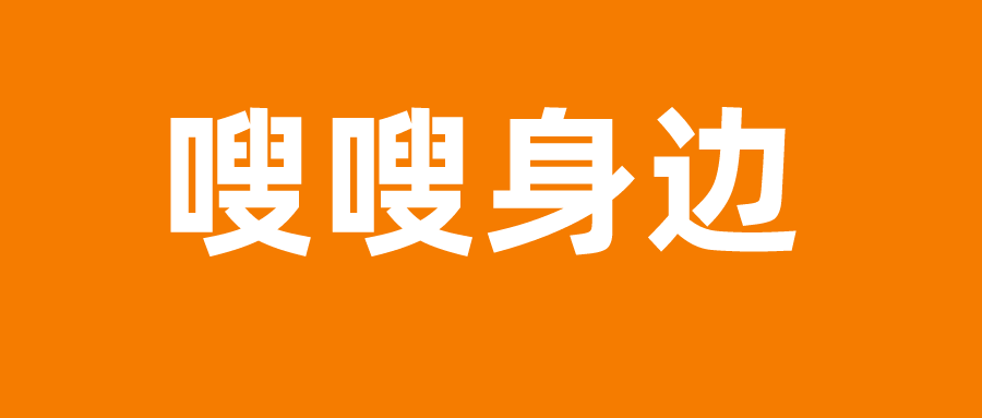 小巷深处的惊喜，特色小店最新资讯分享