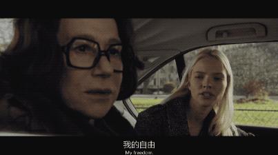 最新龙套动态，观点阐述与深度解析