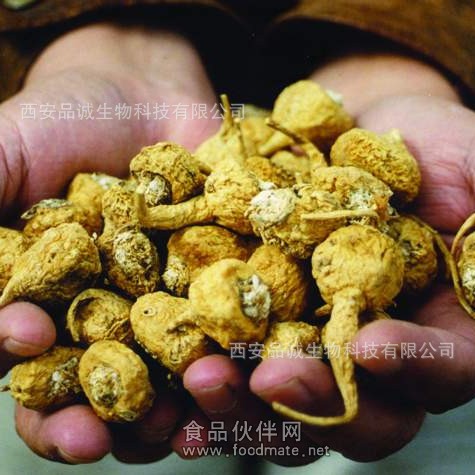 玛卡最新动态，学习变化，自信塑造未来之路