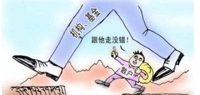 股票资金流向查询，洞悉股市动态的必备工具，引领投资决策新风向！