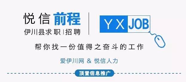伊川最新招聘，小巷深处的职业机遇等你来探索！