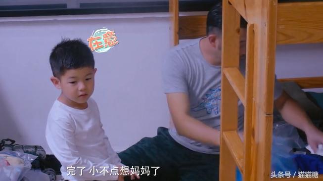 阿拉蕾董力最新未公开片段，深度分析与观点阐述揭秘独家内幕