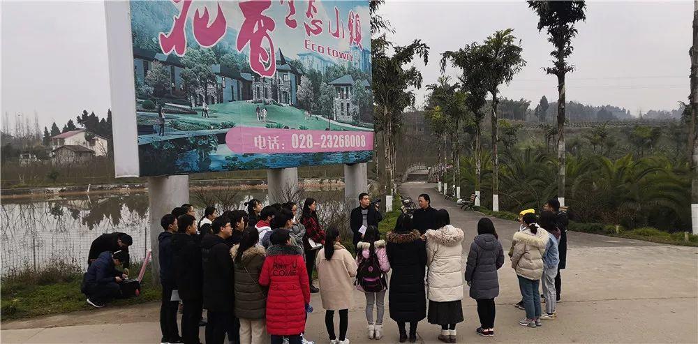 乐至新鲜资讯，探索当地新闻热点与生活动态