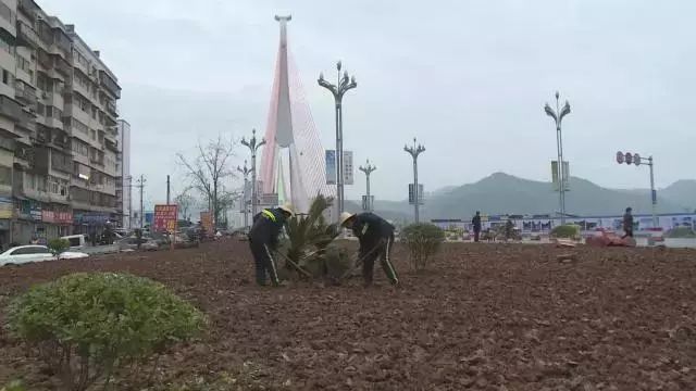 丰都斜南溪最新动态揭秘✨