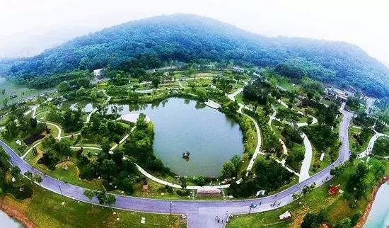 安徽芜湖市最新动态解析，参与当地发展的指南与动态更新