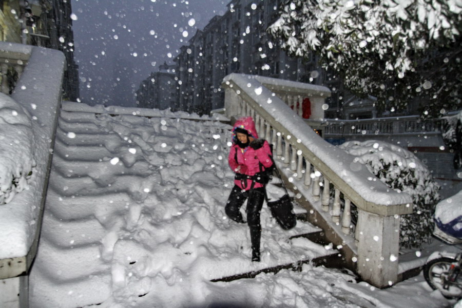 近期国际雪灾情况报道汇总