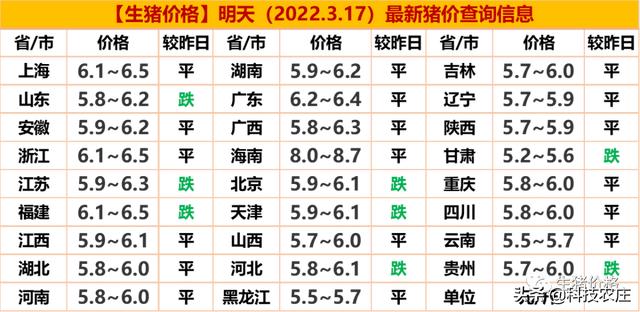 广西猪价格最新动态及分析，影响因素一览