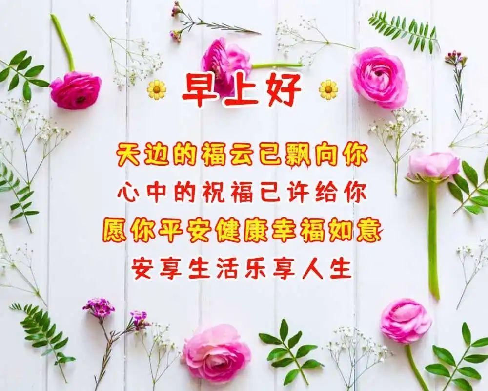 早安祝福最新图，小巷中的温馨问候与隐藏宝藏
