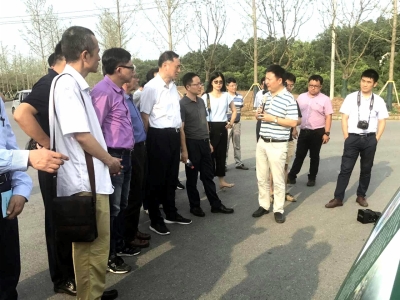 扬州仪征最新动态探索自然美景之旅，重拾内心的宁静