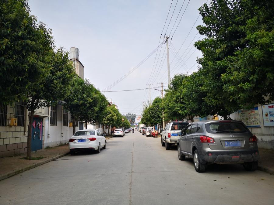 拆迁的最新街道，探寻内心平静的自然美景之旅